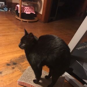 Meet your Posher, Wendy